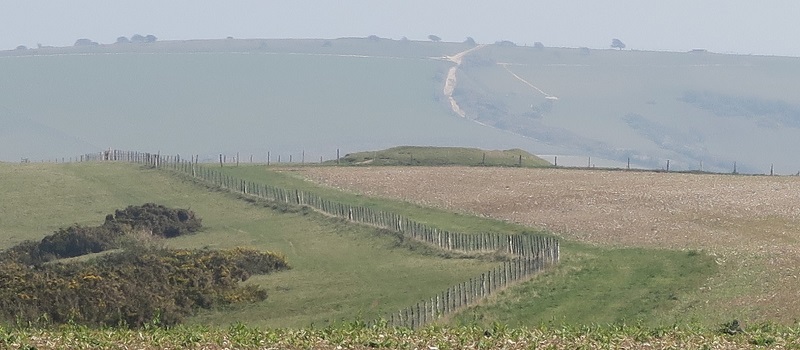 A view to Wilmington Hill mound: