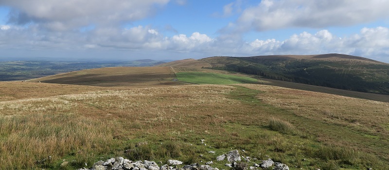 Feddau seen from Eryr