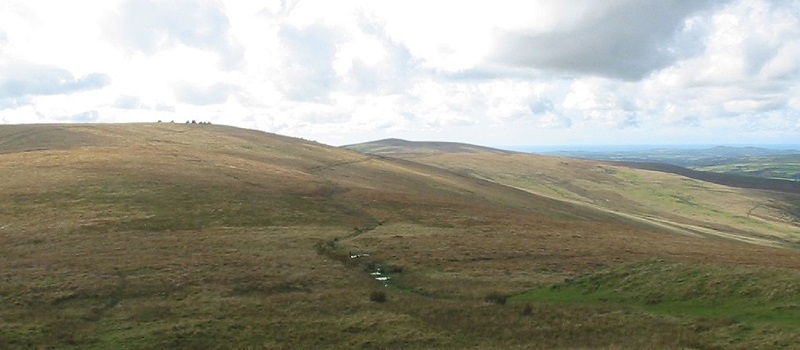 Eryr seen from Feddau